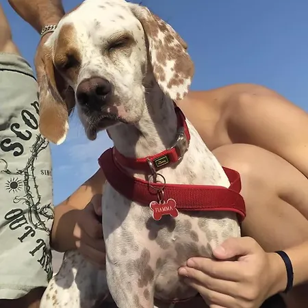 Oda ve Kahvaltı Borgo Del Priolo - Petfriendly Cesena