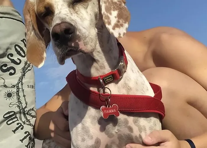 Nocleg ze śniadaniem Borgo Del Priolo - Petfriendly Cesena